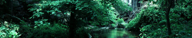 Florida vacation spots, Dunnellon vacation spots, Rainbow Springs, Rainbow River, KP Hole, tubing, swimming, snorkeling, diving, fishing, canoeing, kayaking