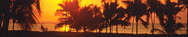 Florida vacation spots, Homosassa vacation spots, swimming, snorkeling, diving, fishing, canoeing, kayaking, scalloping, vacation rentals, waterfront rentals, rentals